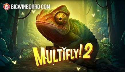 MultiFly 2