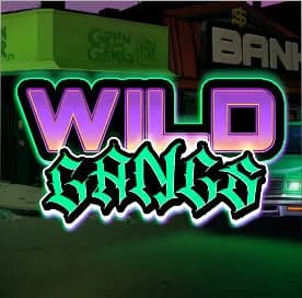 Wild Gangs