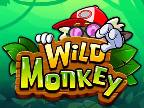 Wild Monkey